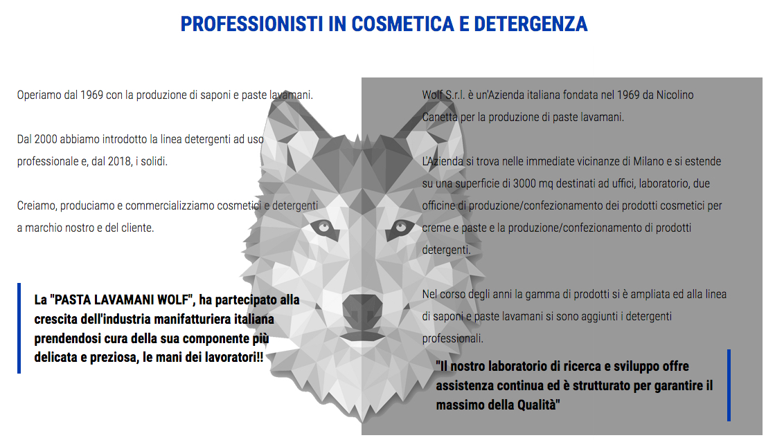 Cantello s.r.l. detersivi professionali a Torino distribuisce sul web i prodotti detergenti della WOLF